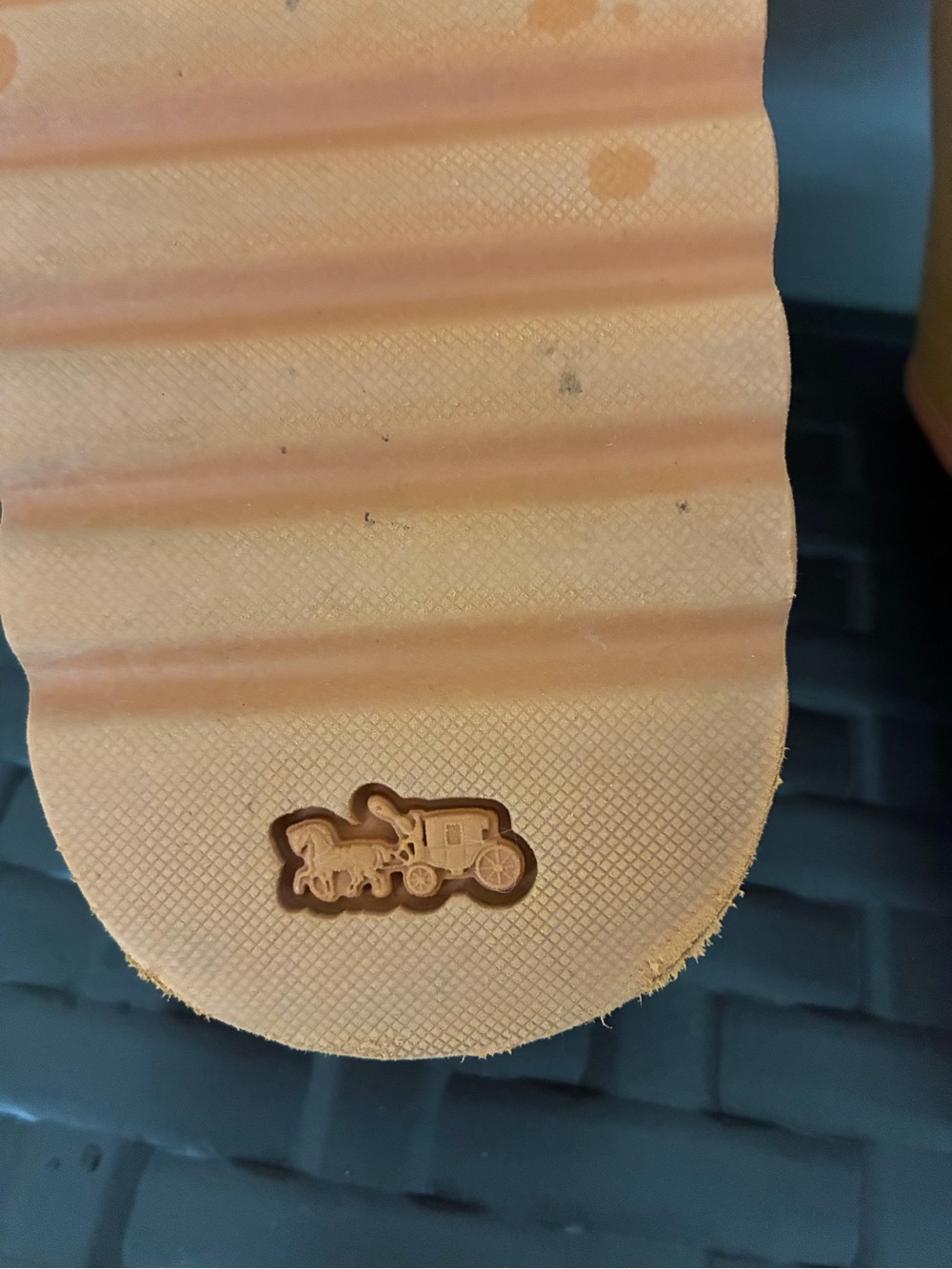 Coach Two-Tone Yellow and Orange Slide Sandals - Picture 5 of 5
